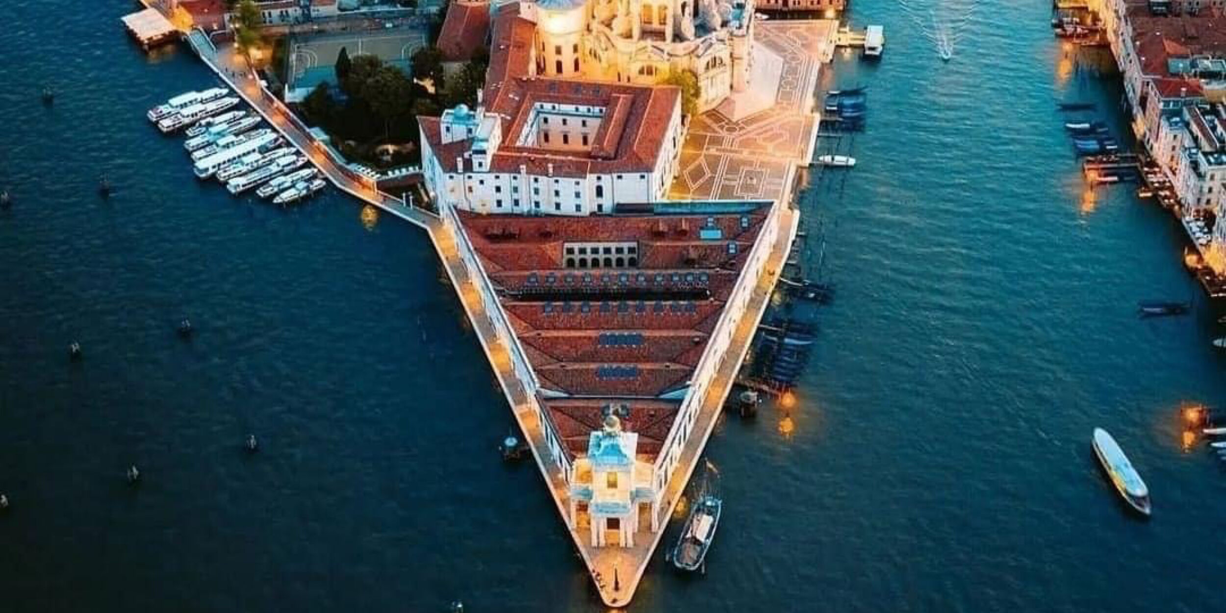 Artemia presso Pinault Collection Venezia Punta Della Dogana Bookshop