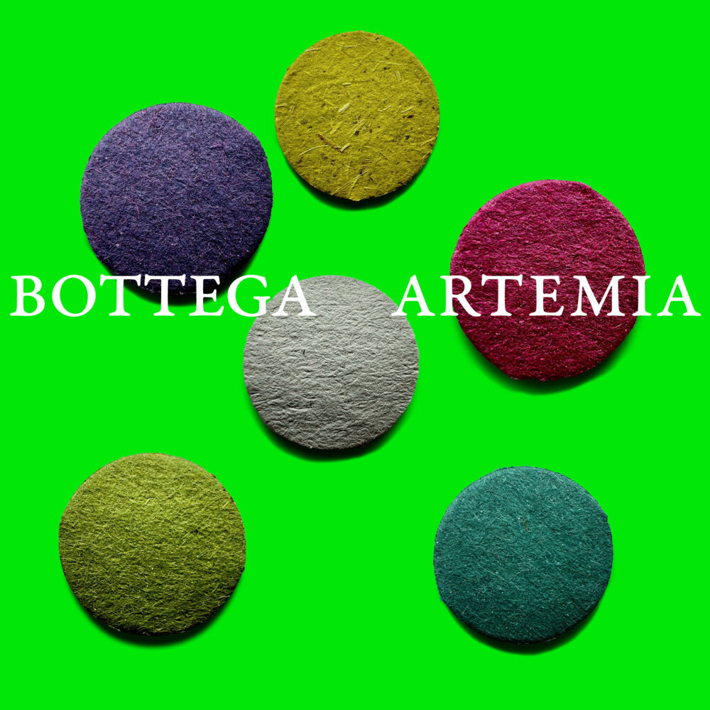 Studio grafico Bottega Artemia a Venezia Tommaso Gentile