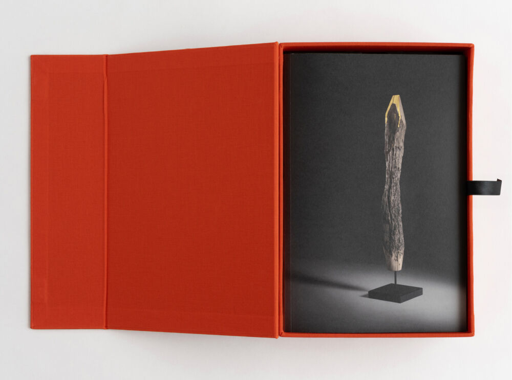 Catalogo collezione De Bricola di De Zotti graphic design Tommaso Gentile, Bottega Artemia