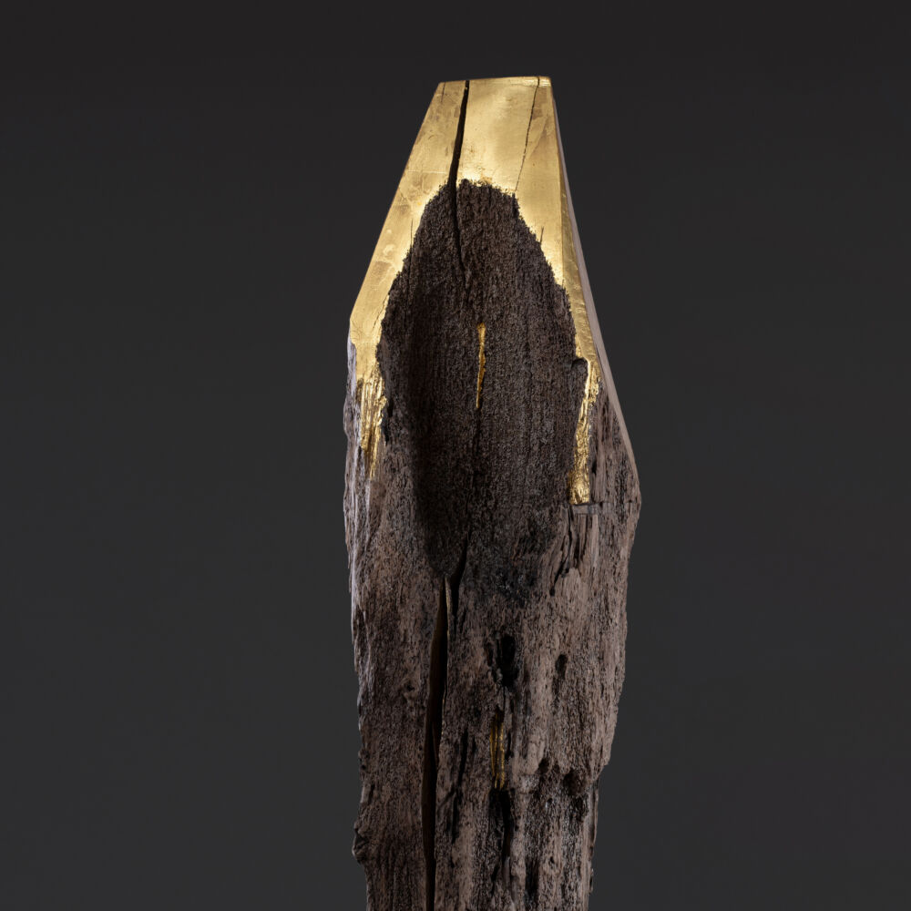 Bottega Artemia Gold & Silver Winner at Wonder Global Design Awards 2026 con il progetto di De Zotti