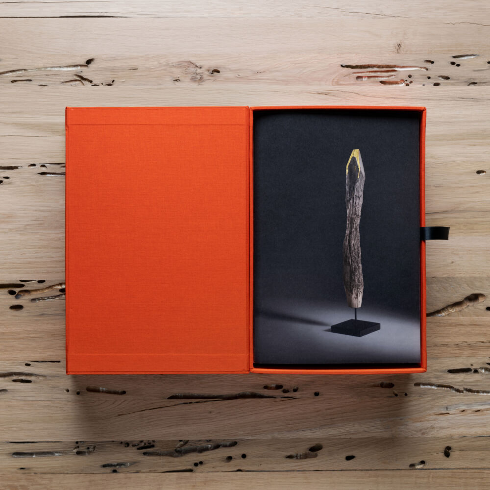 Bottega Artemia Gold & Silver Winner at Wonder Global Design Awards 2026 con il progetto di De Zotti