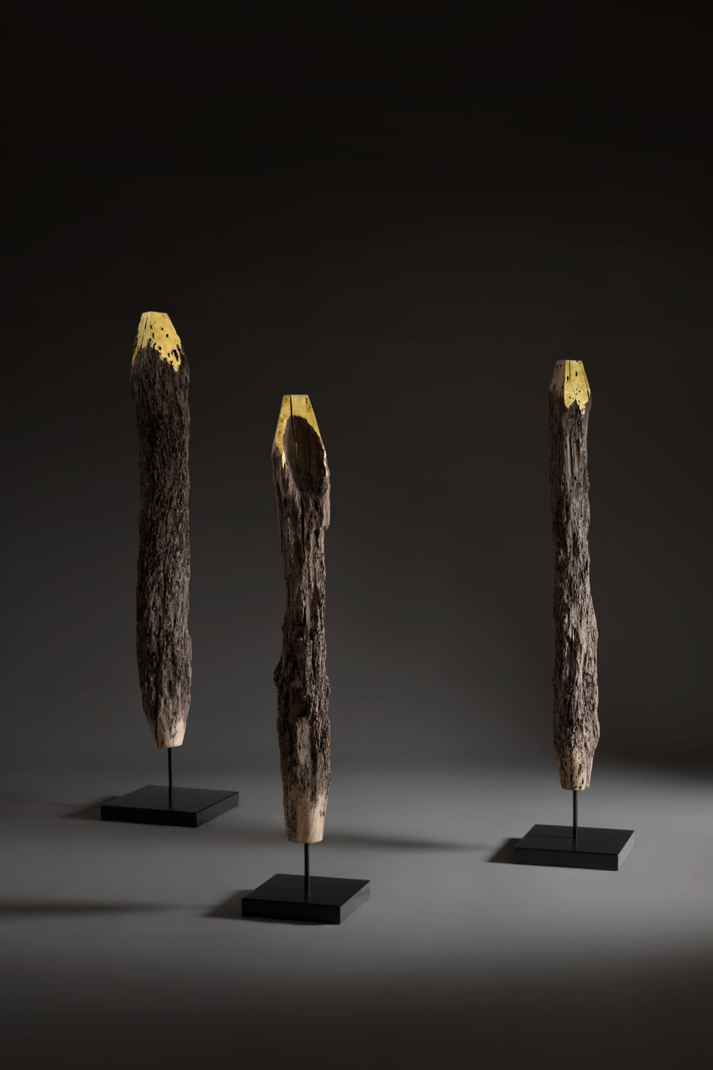 Bottega Artemia Gold & Silver Winner at Wonder Global Design Awards 2026 con il progetto di De Zotti